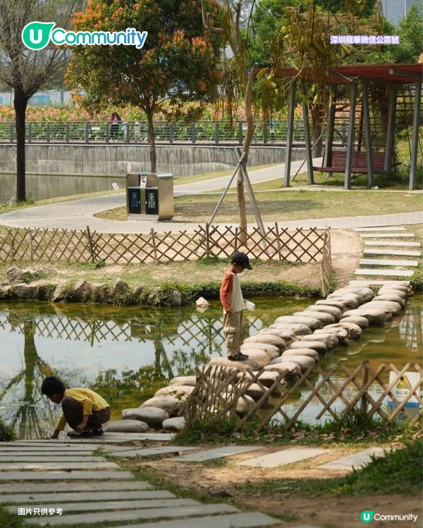 【深圳賞花地圖2026】深圳6大賞花景點推介🌺地鐵直達馬鞭草花海／仿荷蘭風車小鎮／夢幻繡球花展                                                     
