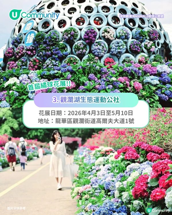 【深圳賞花地圖2026】深圳6大賞花景點推介🌺地鐵直達馬鞭草花海／仿荷蘭風車小鎮／夢幻繡球花展                                                     