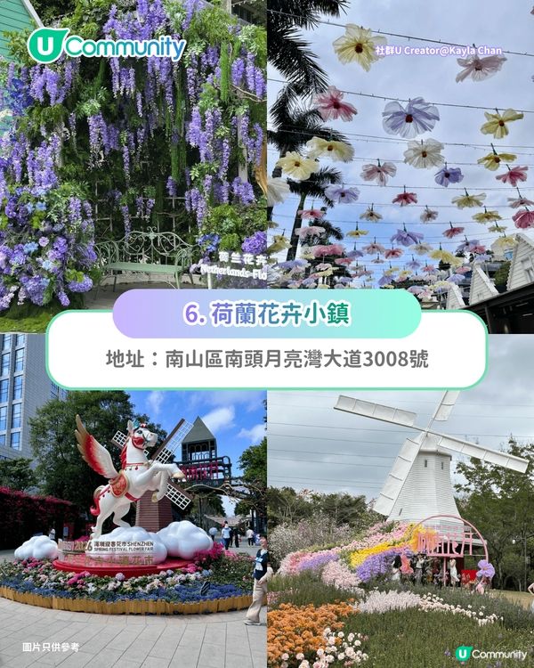 【深圳賞花地圖2026】深圳6大賞花景點推介🌺地鐵直達馬鞭草花海／仿荷蘭風車小鎮／夢幻繡球花展                                                     