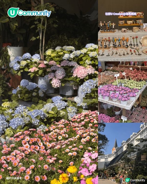【深圳賞花地圖2026】深圳6大賞花景點推介🌺地鐵直達馬鞭草花海／仿荷蘭風車小鎮／夢幻繡球花展                                                     