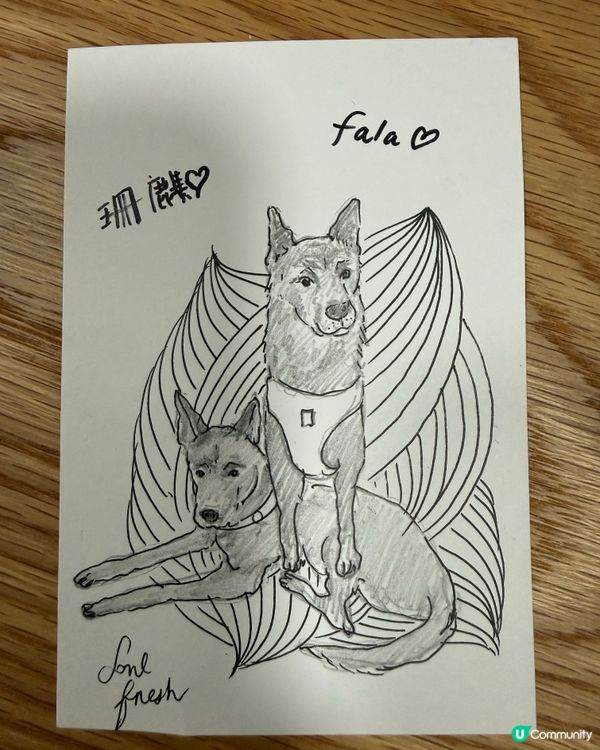 上環pet friendly cafe