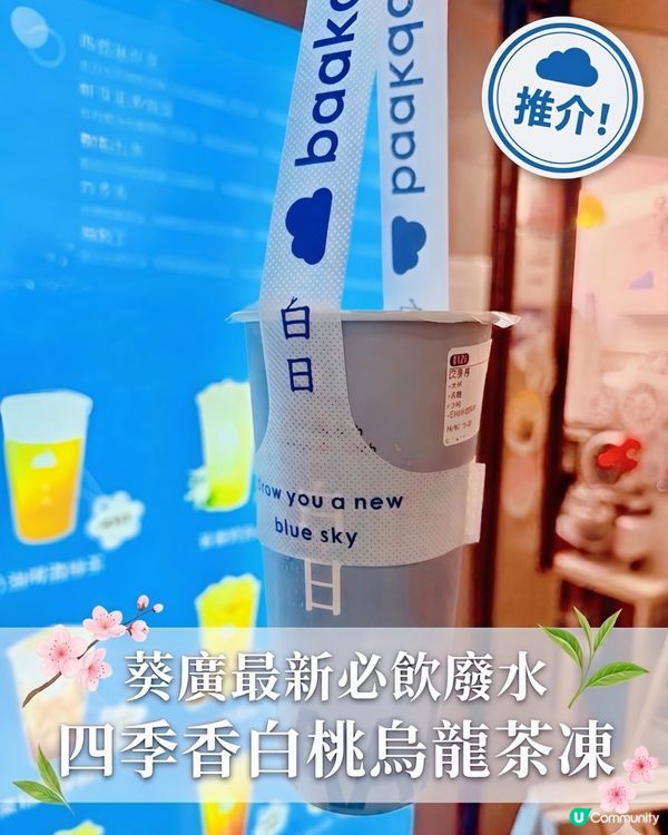最新葵廣超高質廢水！茶葉台灣直送🌟北海道3.6牛乳