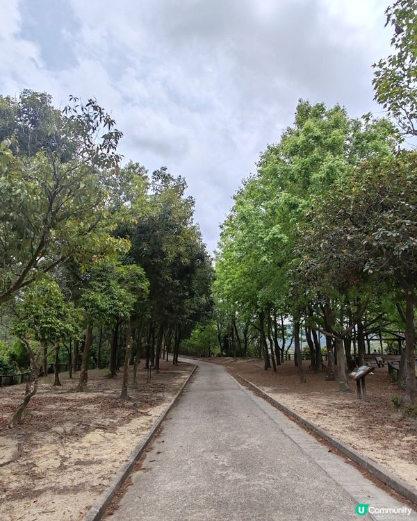 港版千島湖打卡之旅：清景台行山小記
