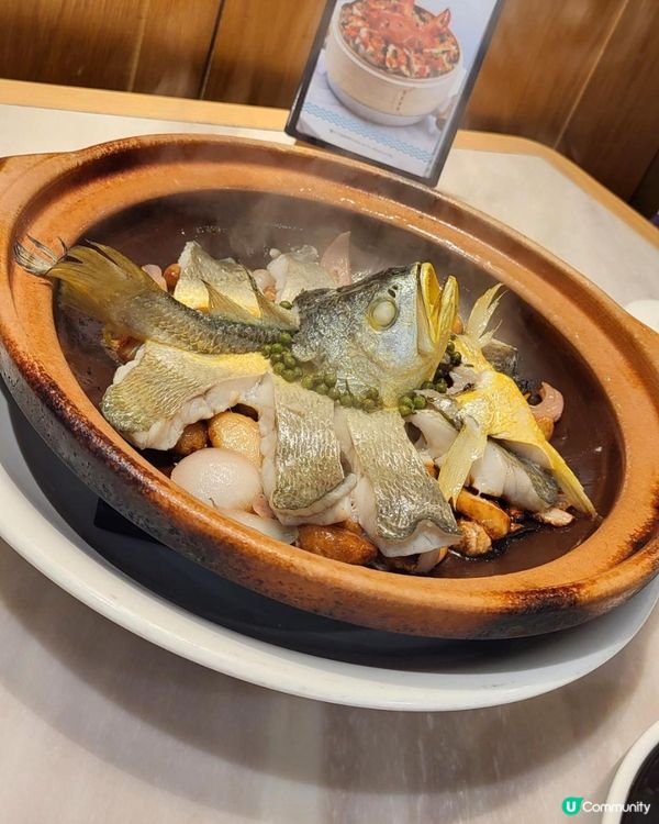 一年一度蟶子節，又嚟啦