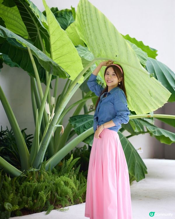 ootd 🩷💙 換上Lovebonito 夏日新裝