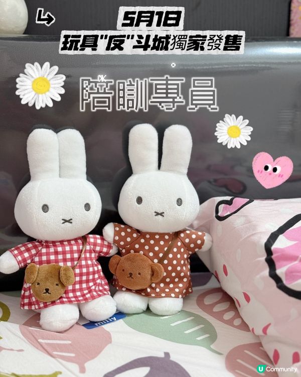 平時我嘅睡房最鍾意就係放毛公仔陪我瞓覺,軟綿綿嘅毛公仔令到我...