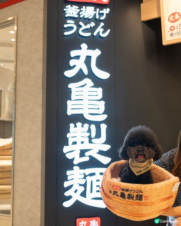 潮爸夾公仔！⚔️ 海參有新屋啦！🤩