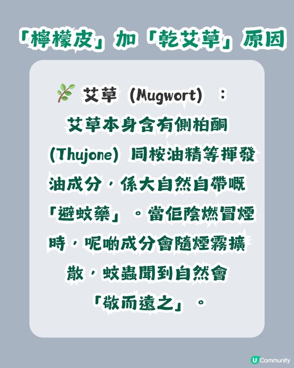 ⏰ 1分鐘學識！廢物利用自製「檸檬皮驅蚊香薰」好用過買？3步完成天然防蚊大法，夏日必學！🍋🚫