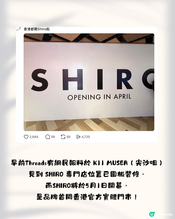 SHIRO香港店5.1尖沙咀開幕！即睇10大必買推介+差價比較✨必搶限定花茶香水／人氣唇油／昆布面膜😍