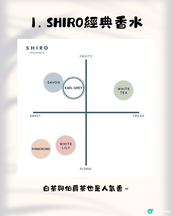 SHIRO香港店5.1尖沙咀開幕！即睇10大必買推介+差價比較✨必搶限定花茶香水／人氣唇油／昆布面膜😍