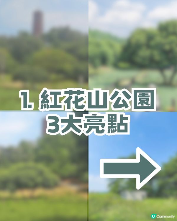 深圳隱藏版「宮崎駿秘境」! 闖入漫畫草地場＋古風古塔！