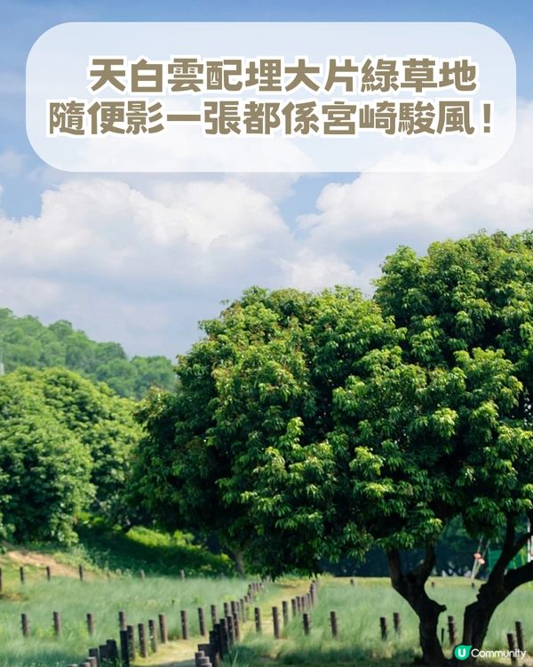 深圳隱藏版「宮崎駿秘境」! 闖入漫畫草地場＋古風古塔！