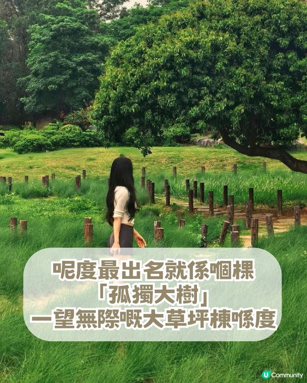 深圳隱藏版「宮崎駿秘境」! 闖入漫畫草地場＋古風古塔！