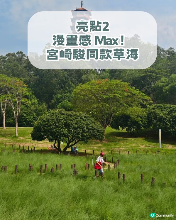 深圳隱藏版「宮崎駿秘境」! 闖入漫畫草地場＋古風古塔！