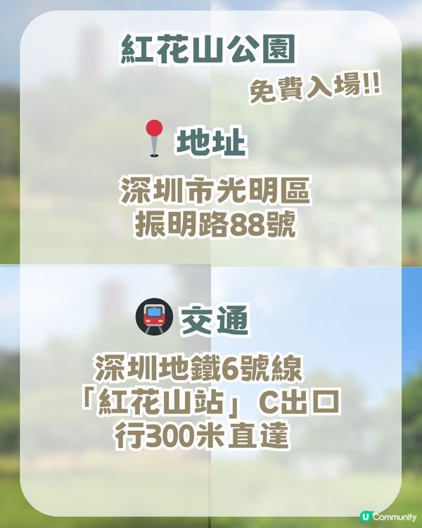深圳隱藏版「宮崎駿秘境」! 闖入漫畫草地場＋古風古塔！