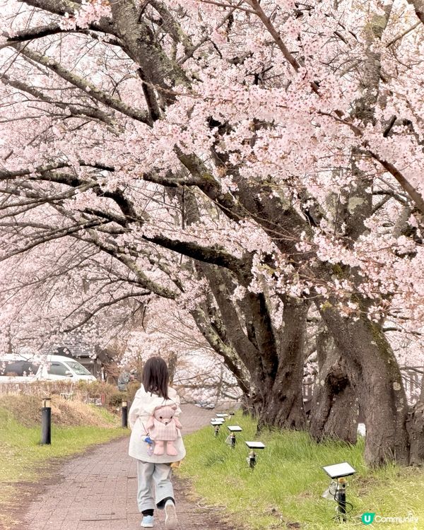 浸溫泉睇富士山！♨️🗻 正到痺 😱