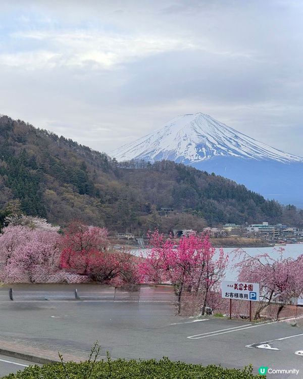 浸溫泉睇富士山！♨️🗻 正到痺 😱