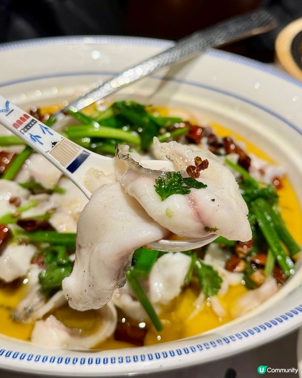 [勞蘇食]香港都可以食到特色川菜🌟