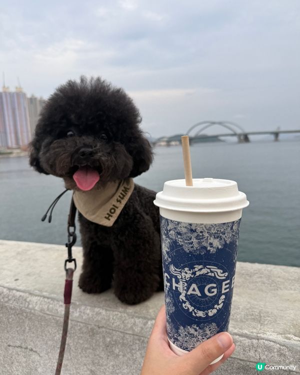 晚上想喝茶又怕失眠？有輕因茶冇煩惱🍵