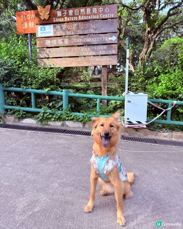 西貢寵物友善綠洲！🌿🐶