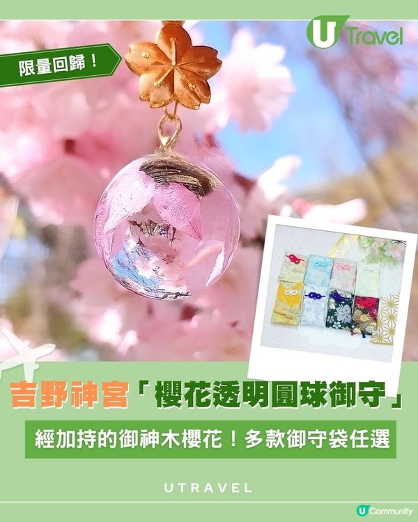 吉野神宮「櫻花透明圓球御守」｜  經加持的御神木櫻花！多款御守袋任選                                                    