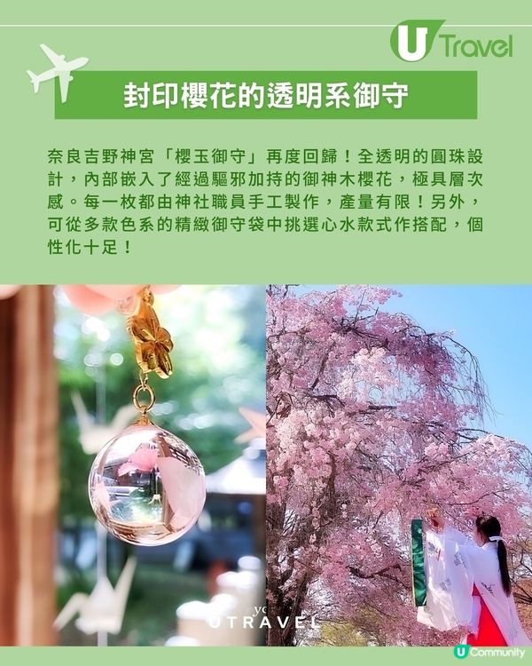 吉野神宮「櫻花透明圓球御守」｜  經加持的御神木櫻花！多款御守袋任選                                                    