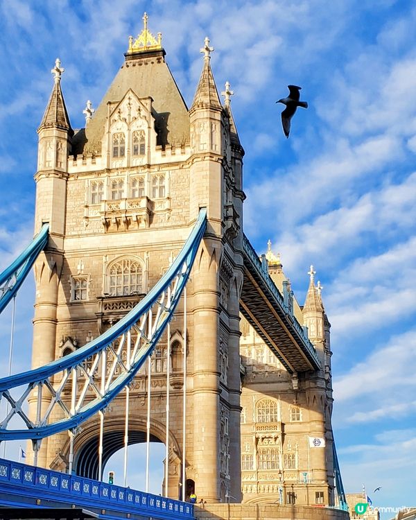 倫敦打卡懶人包！🇬🇧 