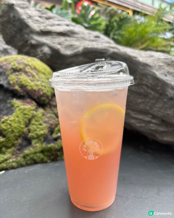 試飲新野！霸王茶姬羅勒桃🍹✨