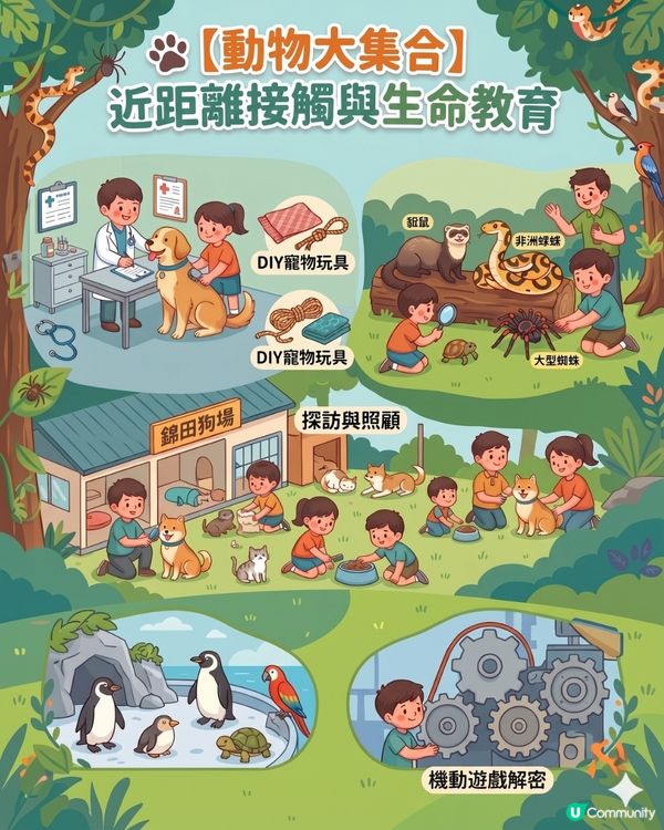 2026 暑假熱門動物&大自然主題夏令營/課程懶人包 🐾🌳                                                     