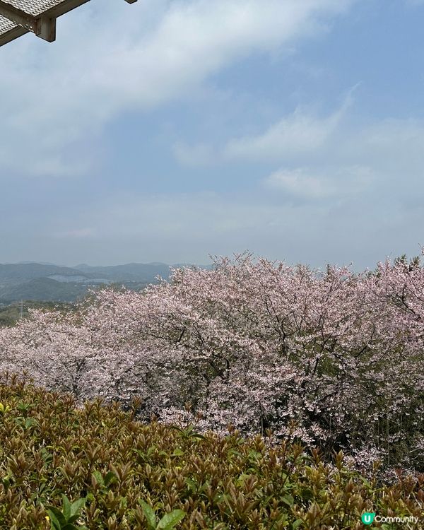 復活節福岡之旅