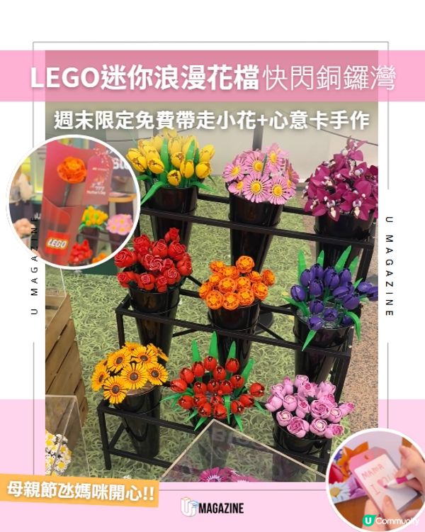 LEGO迷你浪漫花檔快閃銅鑼灣💐                                                    