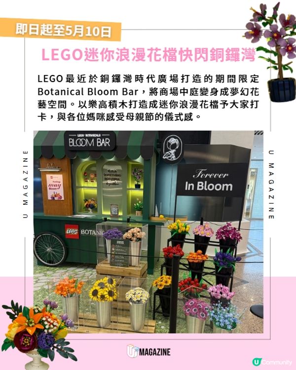 LEGO迷你浪漫花檔快閃銅鑼灣💐                                                    