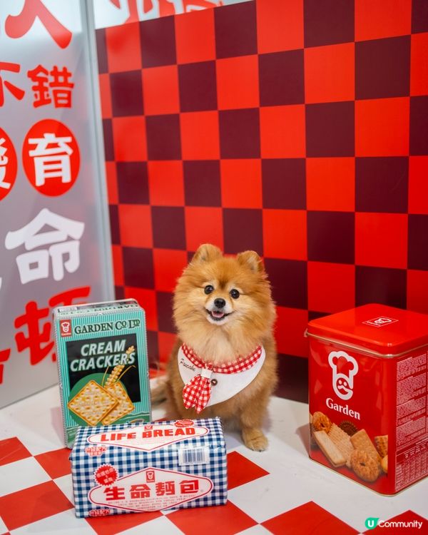 嘉頓 × 朗豪坊！回憶爆發！🤩🍞