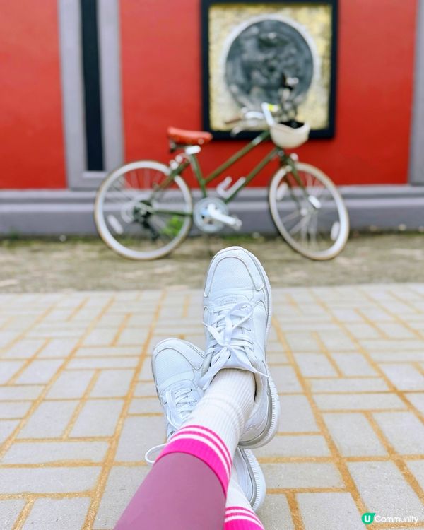 踩單車 🚲💨 圍方起點 輕鬆Chill！