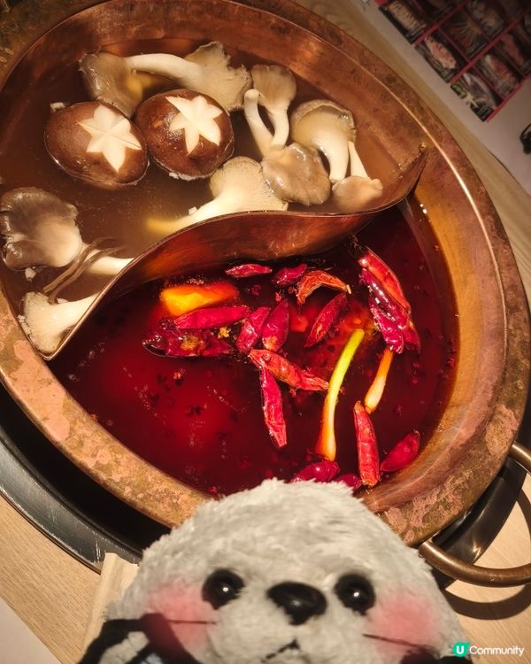 直飲菇菌湯🍄‍🟫 - 方叔叔重慶火鍋