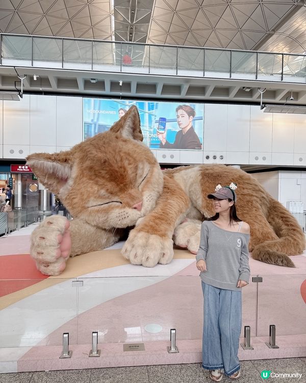 香港機場——旅途上的「喵」 