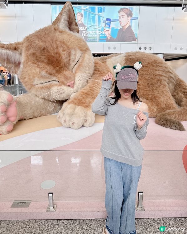 香港機場——旅途上的「喵」 