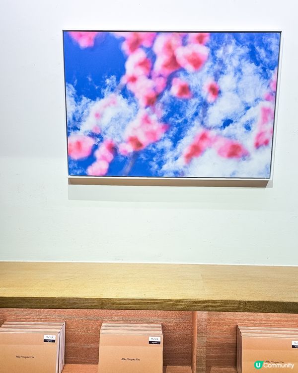 東京 | 蜷川實花攝影展 📸 🌸