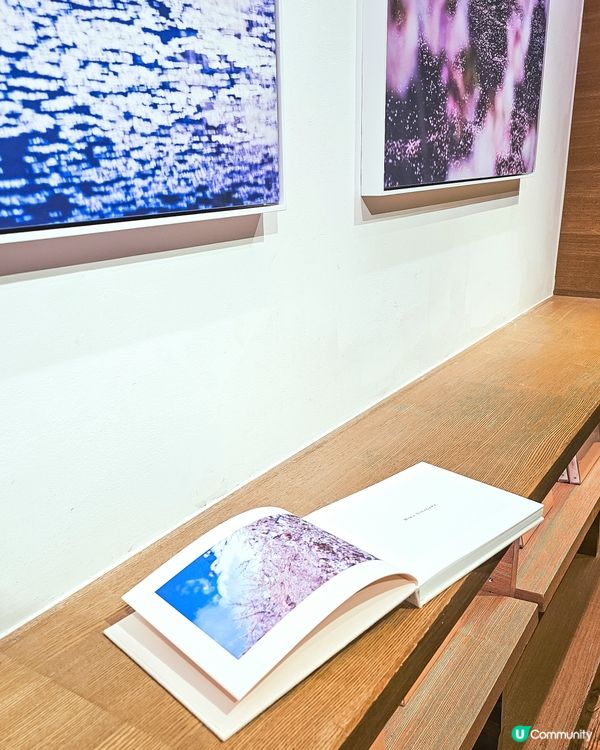 東京 | 蜷川實花攝影展 📸 🌸