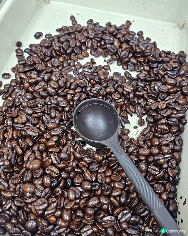 【咖啡現實與理想 ☕️✨️】