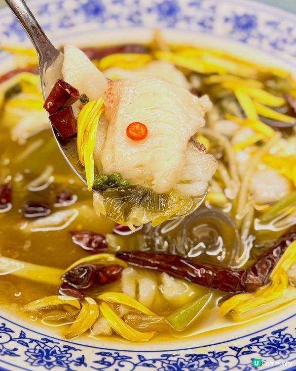合和軒粵菜🌟體驗💯