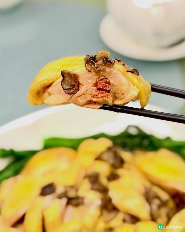合和軒粵菜🌟體驗💯