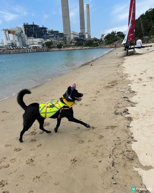 狗狗移民前一聚✌🏻😬