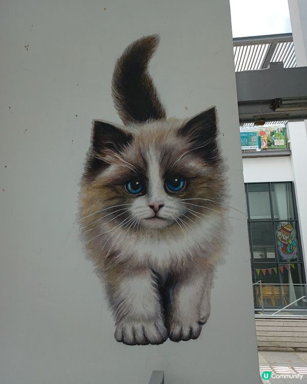 赤柱貓