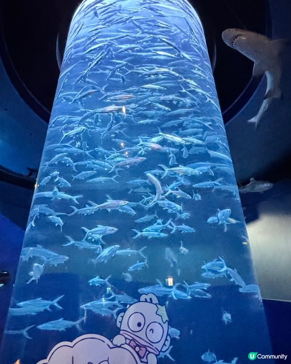 海洋公園變身「藍」陣營！💙🐙🤩