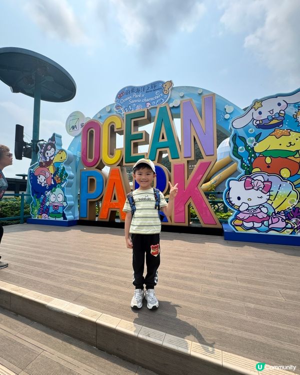 海洋公園變身「藍」陣營！💙🐙🤩
