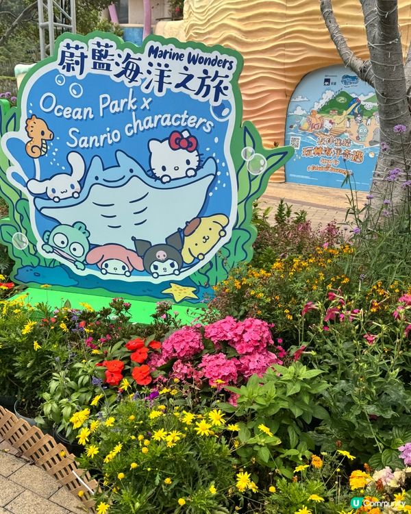海洋公園變身「藍」陣營！💙🐙🤩