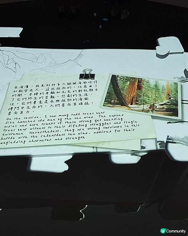 吳冠中藝術展