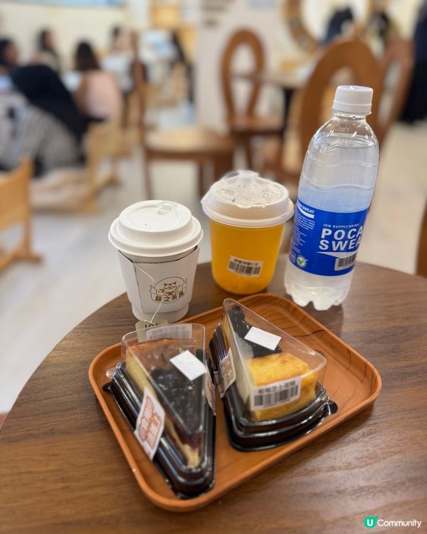 貓貓cafe 放電避開人潮