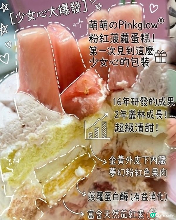 💖少女心爆發！粉紅菠蘿蛋糕😍